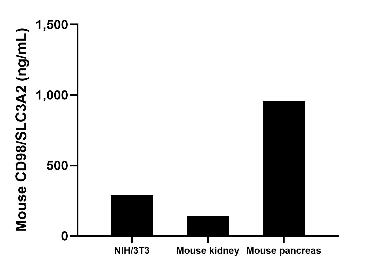 The mean CD98/SLC3A2 concentration was determined to be 291.1 ng/mL in NIH/3T3 cell extract based on a 4.0 mg/mL extract load, 140.2 ng/mL in mouse kidney cell extract based on a 3.1 mg/mL extract load and 958.6 ng/mL in mouse pancreas cell extract based on a 2.3 mg/mL extract load.